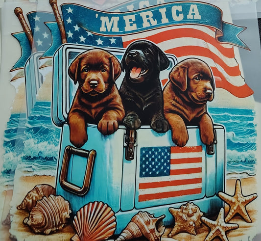 'Merica