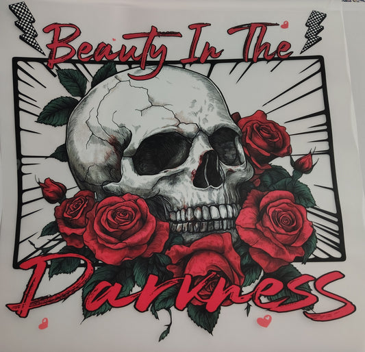 Beauty in the Darkness