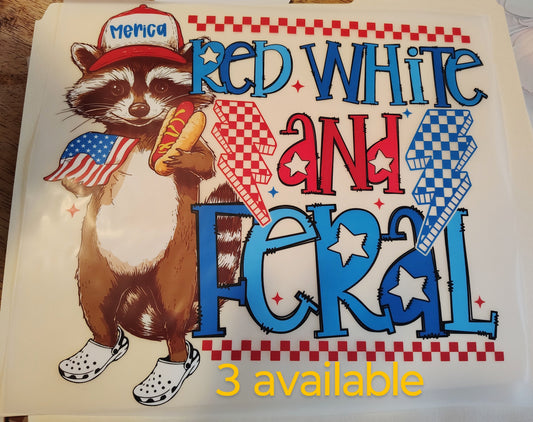 Patriotic & Feral Raccoon