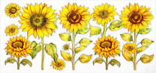 Sunflowers wrap